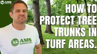 How Do I Protect My Tree Trunks From Damage In Phoenix?