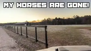 Thursday Morning LIVE Feed-Up and Animal Check