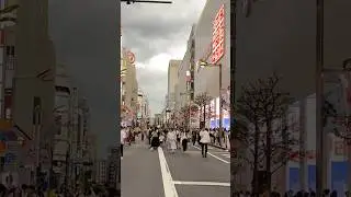 Shinjuku City Walk | 新宿散歩 I VXT TRAVEL
