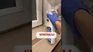 Jak skutecznie pozbyć się pleśni? D-Lux - Tw&oacute;j niezawodny pomocnik!