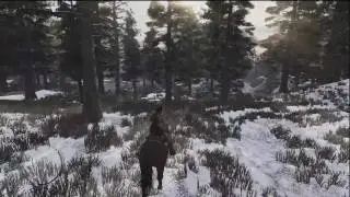 Red Dead Redemption: Swordsman75 goes bear hunting.