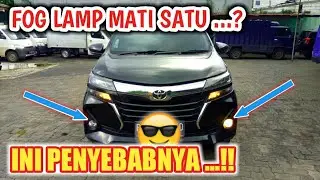 Penyebab Lampu Kabut / Fog Lamp Mati Satu || Tutorial Otomotif