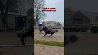Just over a years progress &hearts;️💪 #horse #equestrian #fyp #riding #foryou #viralvideo #pony