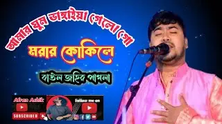 আমার ঘুম ভাঙ্গাইয়া গেলো গো।।মরার কোকিলে।।বাউল জহির পাগলা।।২০/১০/২০২৫ মালে মালদ্বীপ