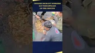 Chinese migrant workers eat food spilled on the ground #workers #eating #food #china