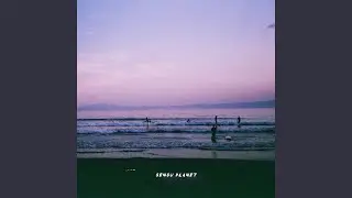 Moonlight Journey