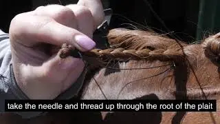 Plaiting tutorial