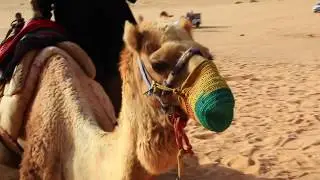 Ein paar Eindr&uuml;cke unserer Djoser Family Reise nach Jordanien