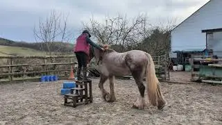 Equagility Jan 25