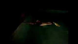 First evening with new Finis Rapid monofin 1