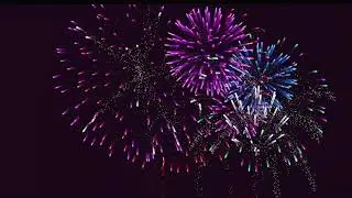 2K Beautiful firework Animation stok video background.