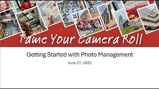 Tame Your Camera Roll: Getting Started with Photo Management