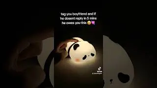 It's just too cute 🥺💕 #panda #cute #tiktokmademebuyit #couples #gift #lamp