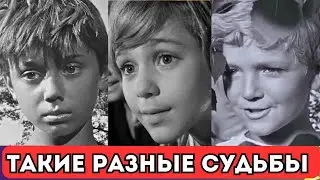 Цена одной роли | Дети-актеры Часть 18