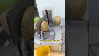 Contact me if you need #thick coconut cutting machine #coconut processing equipment #coconut crusher