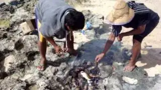 Tonga 16
