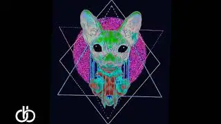 Progressive Psytrance - Dual Beats - Metameric Color - Mix
