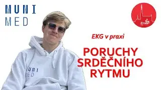 Arytmie jednoducho a prakticky 💓 | Prednáška EKG v praxi