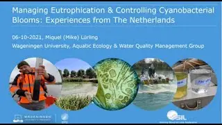 Managing Eutrophication & Controlling Cyanobacterial Blooms: Experiences from The Netherlands