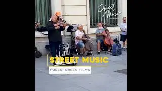 WONDERFUL String Orchestra！Antonio Vivaldi's Winter, Madrid Spain