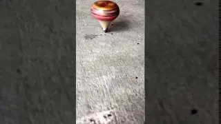 Manual Hol
