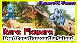 Best Rare Flower Location Ark Survival Ascended💥