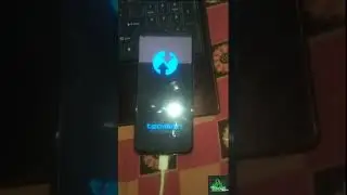 How to install twrp and root Realme 8