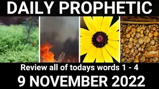 Daily Prophetic Word 9 November 2022 All Words
