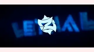lethalartworks | low price for intro,check desc