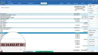 Tally Prime: Totaling of selected Rows in Report
