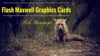 Как прошить BIOS Maxwell GTX 9xx &mdash; пошагово