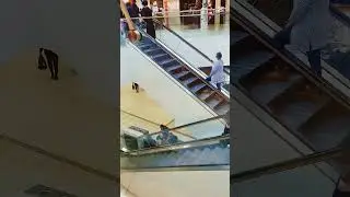What's in West Edmonton Mall? #maplesnaps #edmonton #winter #yeg #shoppingmall