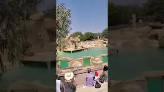 Zoo Frigua Tunisko