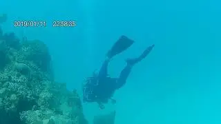 Jan 2019 Sosua DR Sea Pro