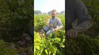 Farming #farming #newtechnologyideas #shorts