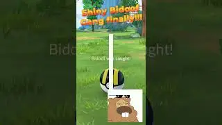 Shiny Bidoof Gang! Bideal with it 😎 #pokemongo #shiny #finally