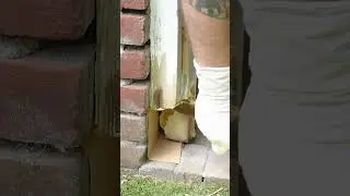 Morsches Holz reparieren mit EAZYFIX Holzspachtel #holzspachtel #holzspachtelmasse #Morsches Holz