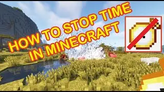 How to Stop Time In MINECRAFT