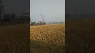 pasal jadai xu ma mini  vlog