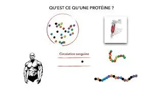 Comment prendre de la masse rapidement ? #2