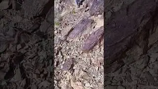 Minerals And Mining.copper oxide point copper oxide new symptoms exploring and servay mining area.