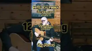 Hotel California 1 The Eagles #coversong Ray Pasnen #music #video #livemusic #1970s #rock #70s #play