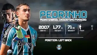 Pedro Gabriel / 18 years - Skills and Goals - Gr&ecirc;mio - 24/25 🇧🇷