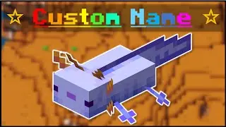 Minecraft - How To Summon Mobs With Custom Names!