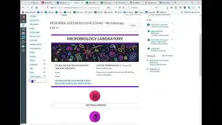 Redirect tool in canvas