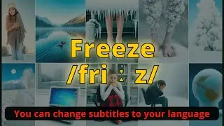 Freeze meaning with 5 examples
