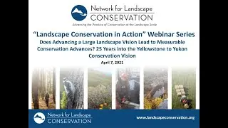 Twenty-Five Years into the Yellowstone to Yukon Conservation Vision