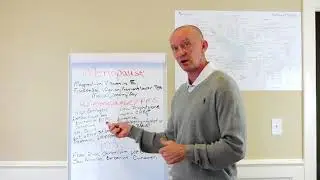 Copy of A Tutorial on The best Supplements and Herbs for Hormone Imbalances