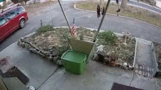 Denver Security Camera Live Stream