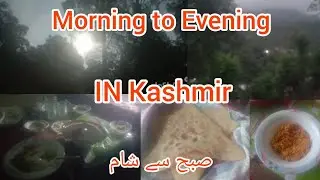 Morning To Evening In Kashmir|| Kashmir Village  Vlogs|| Punjab Village, City Life||samina arts vlgs